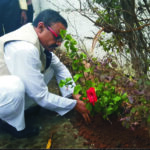 Plantation Saahil